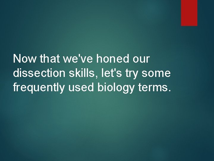 Now that we've honed our dissection skills, let's try some frequently used biology terms.