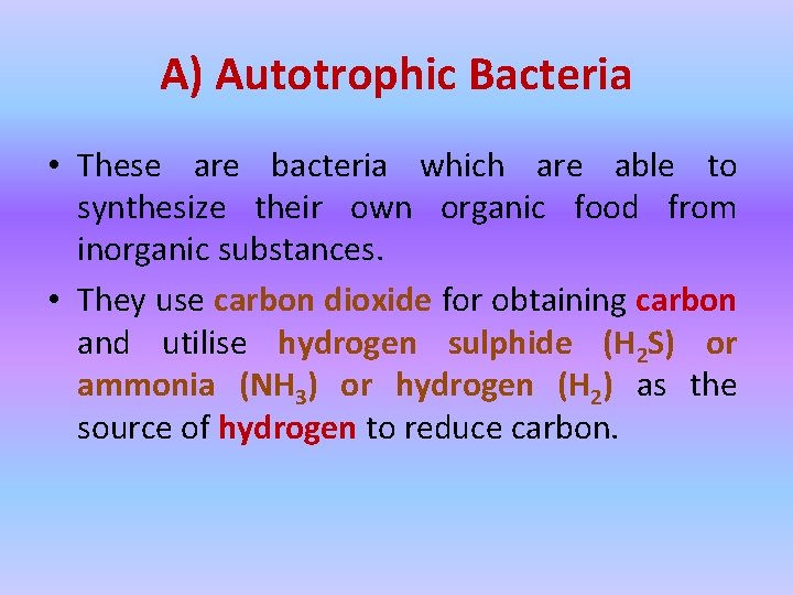 A) Autotrophic Bacteria • These are bacteria which are able to synthesize their own