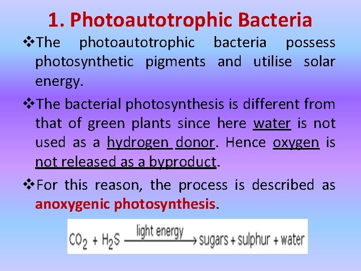 1. Photoautotrophic Bacteria v. The photoautotrophic bacteria possess photosynthetic pigments and utilise solar energy.