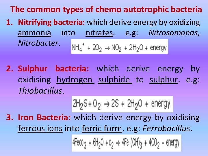 The common types of chemo autotrophic bacteria 1. Nitrifying bacteria: which derive energy by