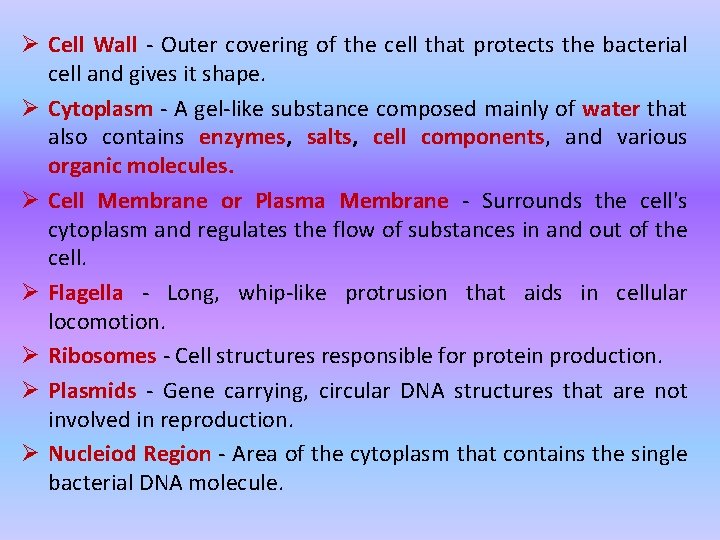 Ø Cell Wall - Outer covering of the cell that protects the bacterial cell
