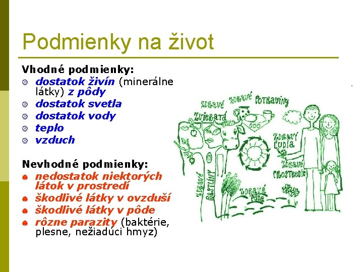 Podmienky na život Vhodné podmienky: { dostatok živín (minerálne látky) z pôdy { dostatok