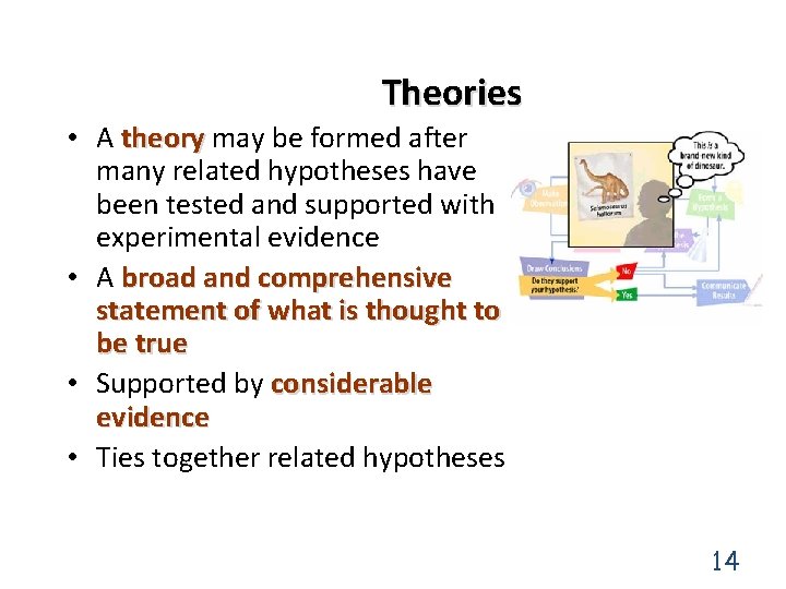 Theories • A theory may be formed after many related hypotheses have been tested