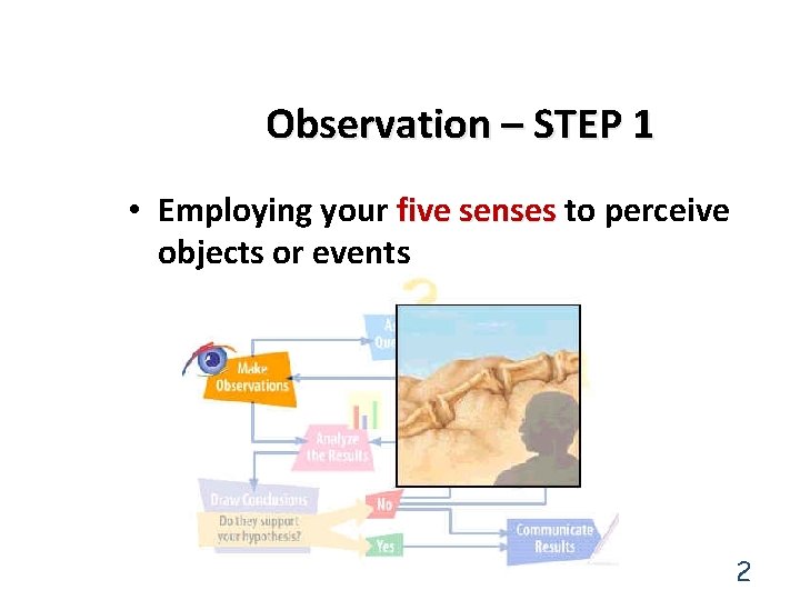 Observation – STEP 1 • Employing your five senses to perceive objects or events