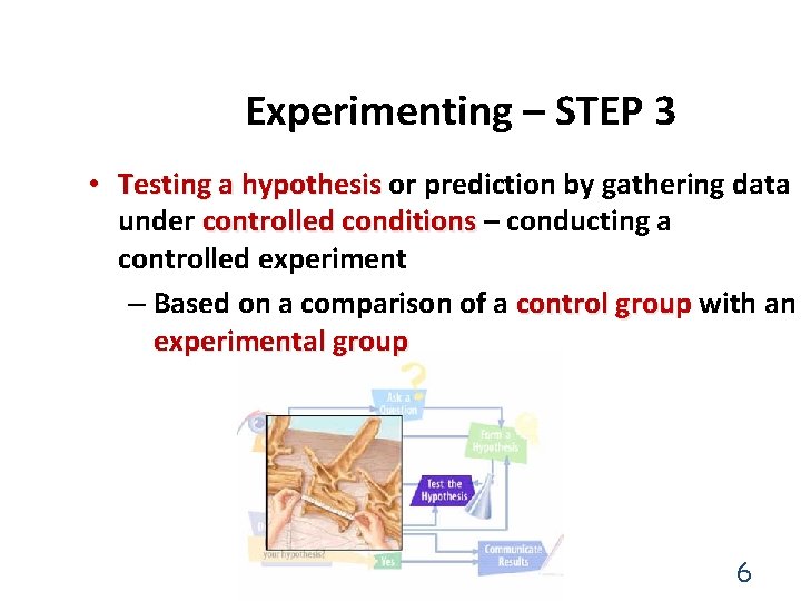Experimenting – STEP 3 • Testing a hypothesis or prediction by gathering data under