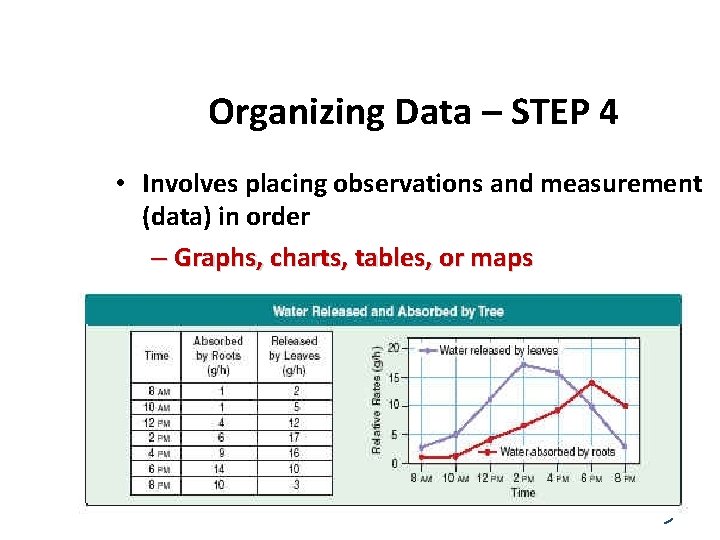 Organizing Data – STEP 4 • Involves placing observations and measurement (data) in order