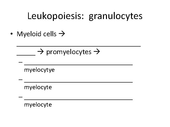 Leukopoiesis: granulocytes • Myeloid cells _________________ promyelocytes – _________________ myelocytye – _________________________________ myelocyte 