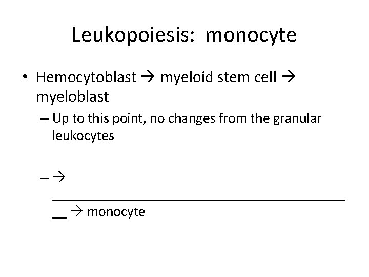 Leukopoiesis: monocyte • Hemocytoblast myeloid stem cell myeloblast – Up to this point, no