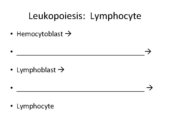 Leukopoiesis: Lymphocyte • Hemocytoblast • __________________________________ • Lymphocyte 