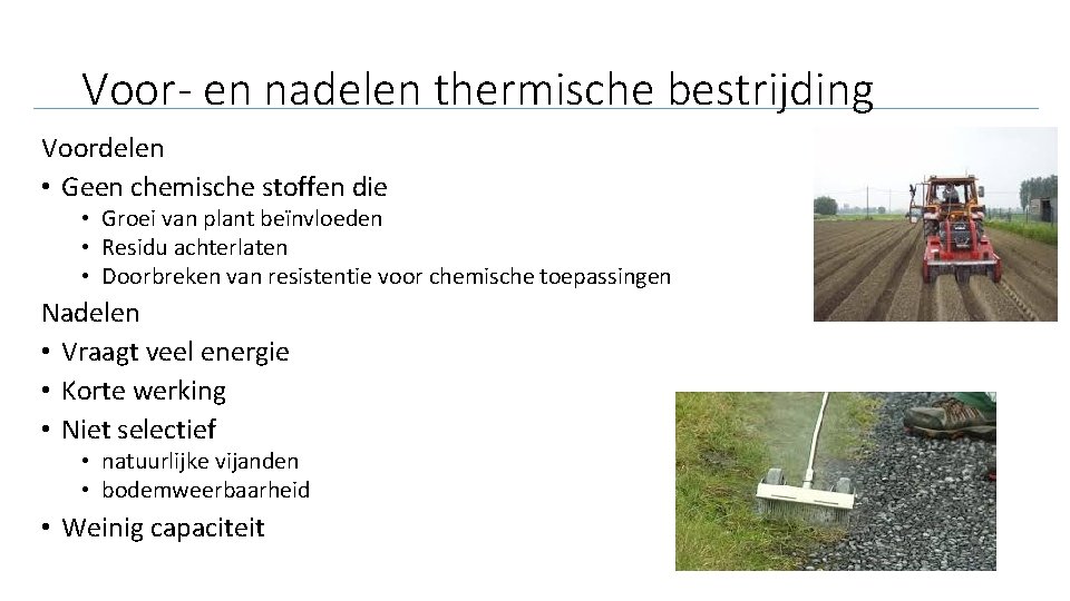 Voor- en nadelen thermische bestrijding Voordelen • Geen chemische stoffen die • Groei van