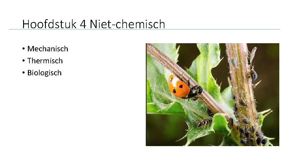 Hoofdstuk 4 Niet-chemisch • Mechanisch • Thermisch • Biologisch 