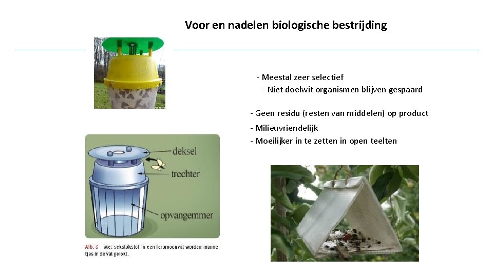 Voor en nadelen biologische bestrijding - Meestal zeer selectief - Niet doelwit organismen blijven