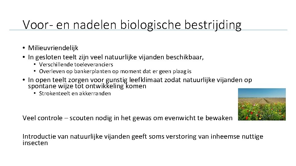 Voor- en nadelen biologische bestrijding • Milieuvriendelijk • In gesloten teelt zijn veel natuurlijke