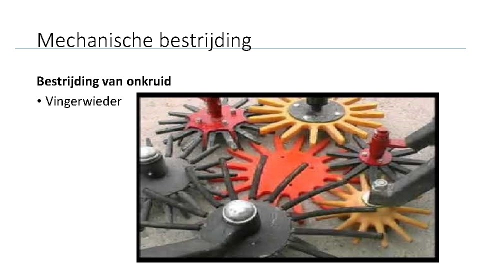 Mechanische bestrijding Bestrijding van onkruid • Vingerwieder 
