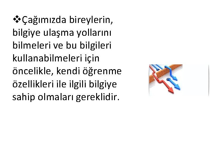 vÇağımızda bireylerin, bilgiye ulaşma yollarını bilmeleri ve bu bilgileri kullanabilmeleri için öncelikle, kendi öğrenme