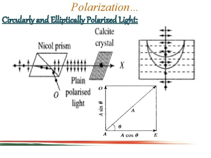 Polarization… Circularly and Elliptically Polarized Light: 