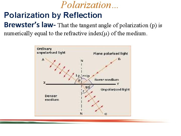 Polarization… Polarization by Reflection Brewster’s law- That the tangent angle of polarization (p) is