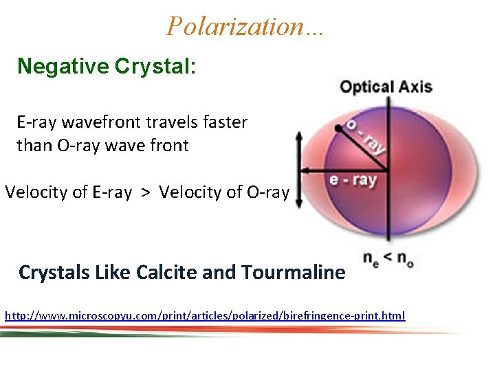 Polarization… Negative Crystal: E-ray wavefront travels faster than O-ray wave front Velocity of E-ray