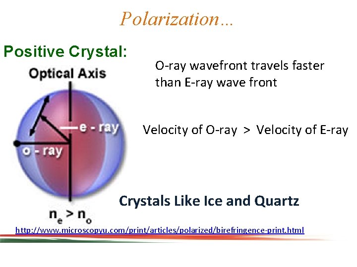 Polarization… Positive Crystal: O-ray wavefront travels faster than E-ray wave front Velocity of O-ray