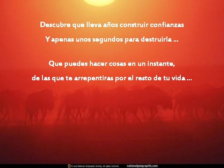 Descubre que lleva años construir confianzas Y apenas unos segundos para destruirla. . .