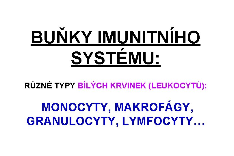 BUŇKY IMUNITNÍHO SYSTÉMU: RŮZNÉ TYPY BÍLÝCH KRVINEK (LEUKOCYTŮ): MONOCYTY, MAKROFÁGY, GRANULOCYTY, LYMFOCYTY… 