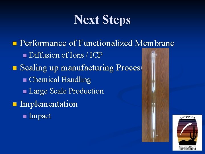 Next Steps n Performance of Functionalized Membrane n n Diffusion of Ions / ICP