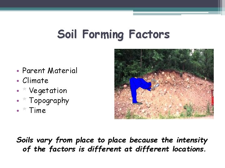 Soil Forming Factors • • • Parent Material Climate * Vegetation * Topography *