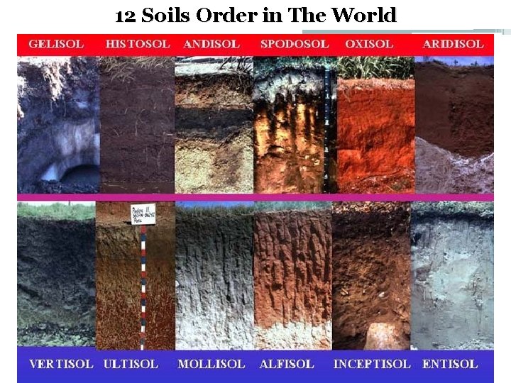 12 Soils Order in The World 