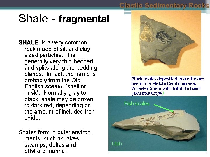 Clastic Sedimentary Rocks Shale - fragmental SHALE is a very common rock made of