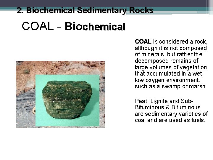 2. Biochemical Sedimentary Rocks COAL - Biochemical COAL is considered a rock, although it