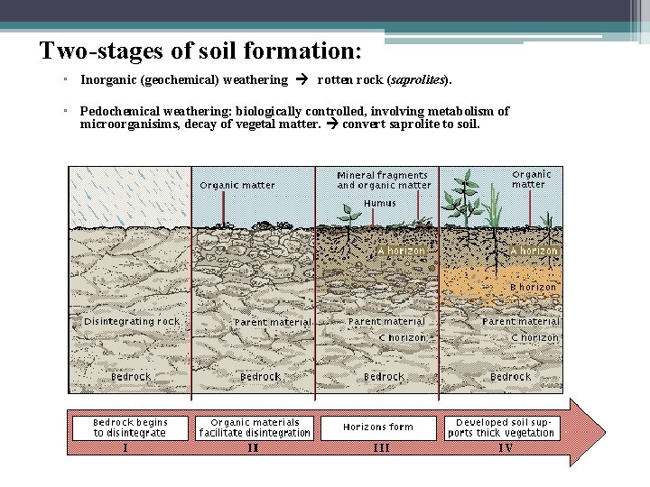 Two-stages of soil formation: ▫ Inorganic (geochemical) weathering rotten rock (saprolites). ▫ Pedochemical weathering: