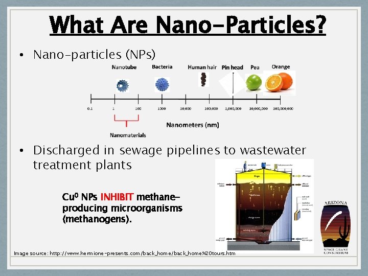 What Are Nano-Particles? • Nano-particles (NPs) • Discharged in sewage pipelines to wastewater treatment