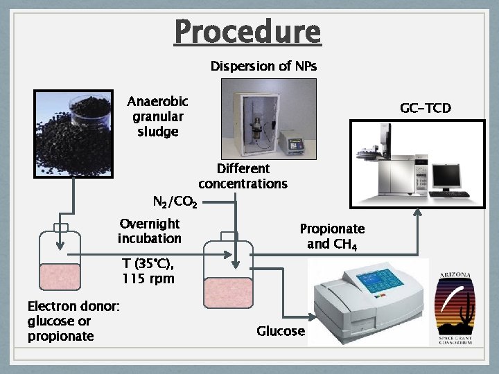 Procedure Dispersion of NPs Anaerobic granular sludge N 2/CO 2 Overnight incubation T (35°C),