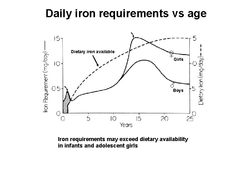 Daily iron requirements vs age Dietary iron available ♀ Girls ♂ Boys Iron requirements