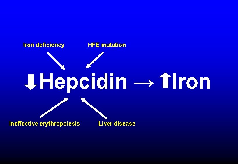 Iron deficiency HFE mutation Hepcidin → Iron Ineffective erythropoiesis Liver disease 