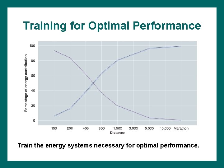 Training for Optimal Performance Train the energy systems necessary for optimal performance. 