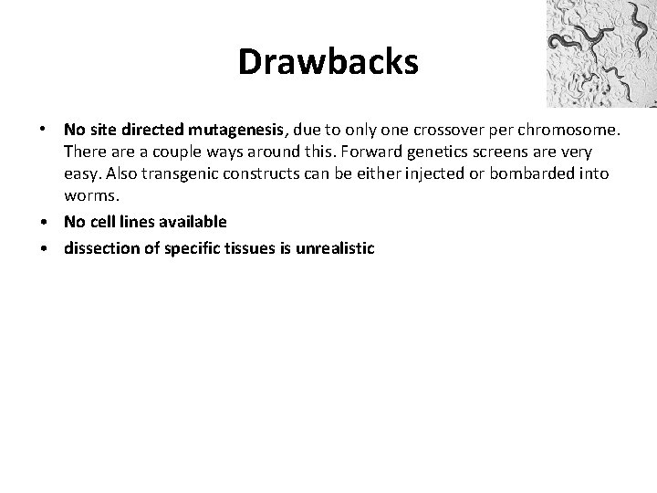 Drawbacks • No site directed mutagenesis, due to only one crossover per chromosome. There