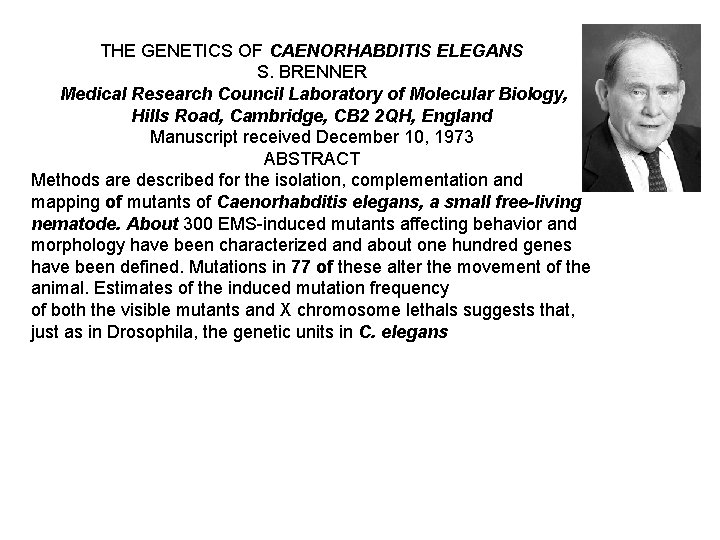 THE GENETICS OF CAENORHABDITIS ELEGANS S. BRENNER Medical Research Council Laboratory of Molecular Biology,