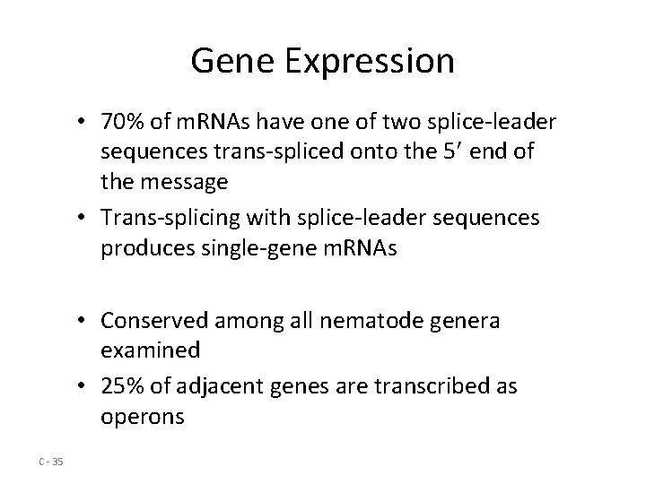 Gene Expression • 70% of m. RNAs have one of two splice-leader sequences trans-spliced