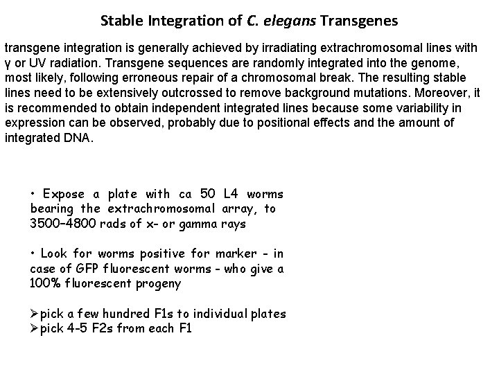 Stable Integration of C. elegans Transgenes transgene integration is generally achieved by irradiating extrachromosomal