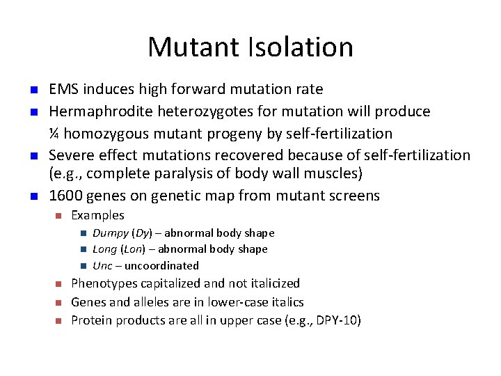 Mutant Isolation n n EMS induces high forward mutation rate Hermaphrodite heterozygotes for mutation