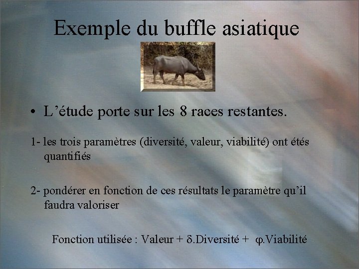 Exemple du buffle asiatique • L’étude porte sur les 8 races restantes. 1 -