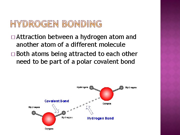 � Attraction between a hydrogen atom and another atom of a different molecule �