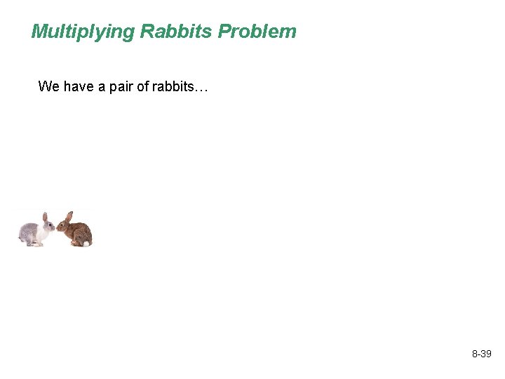 Multiplying Rabbits Problem How many rabbits will there be? We have a pair of