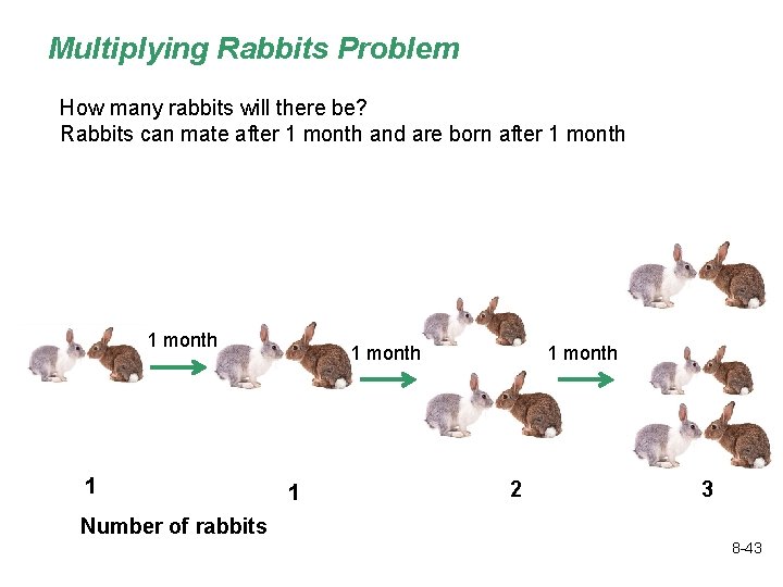 Multiplying Rabbits Problem How many rabbits will there be? Rabbits can mate after 1