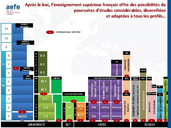 Après le bac, l’enseignement supérieur français offre des possibilités de poursuites d’études considérables, diversifiées