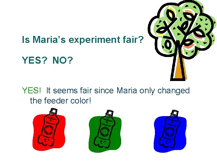 Is Maria’s experiment fair? YES? NO? YES! It seems fair since Maria only changed Is Maria’s experiment fair? YES? NO? YES! It seems fair since Maria only changed
