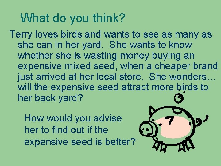 What do you think? Terry loves birds and wants to see as many as What do you think? Terry loves birds and wants to see as many as