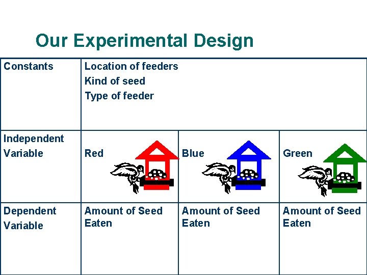 Our Experimental Design Constants Location of feeders Kind of seed Type of feeder Independent
