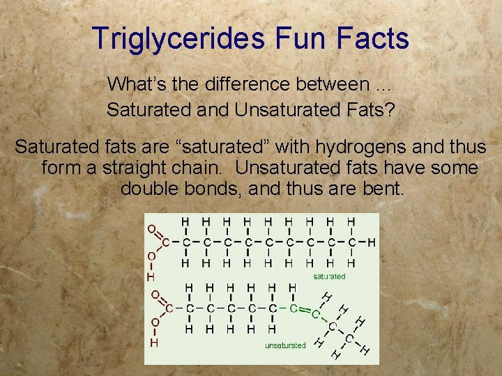 Triglycerides Fun Facts What’s the difference between … Saturated and Unsaturated Fats? Saturated fats